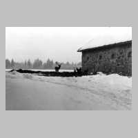 074-0039 Hirsche hinter den Stallungen auf Gut Jodeiken suchen im Winter 1938-39 Futter.jpg